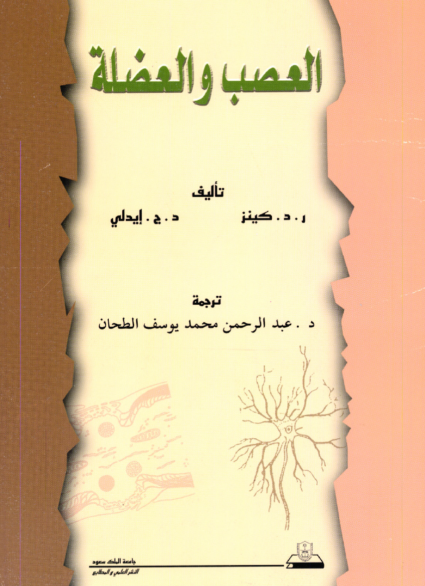 العصب والعضلة