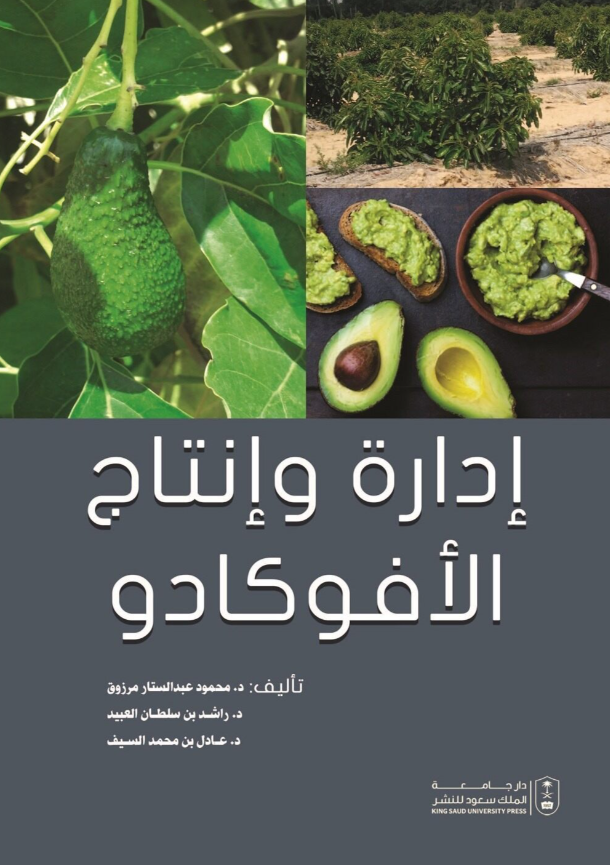 إدارة وإنتاج الأفوكادو