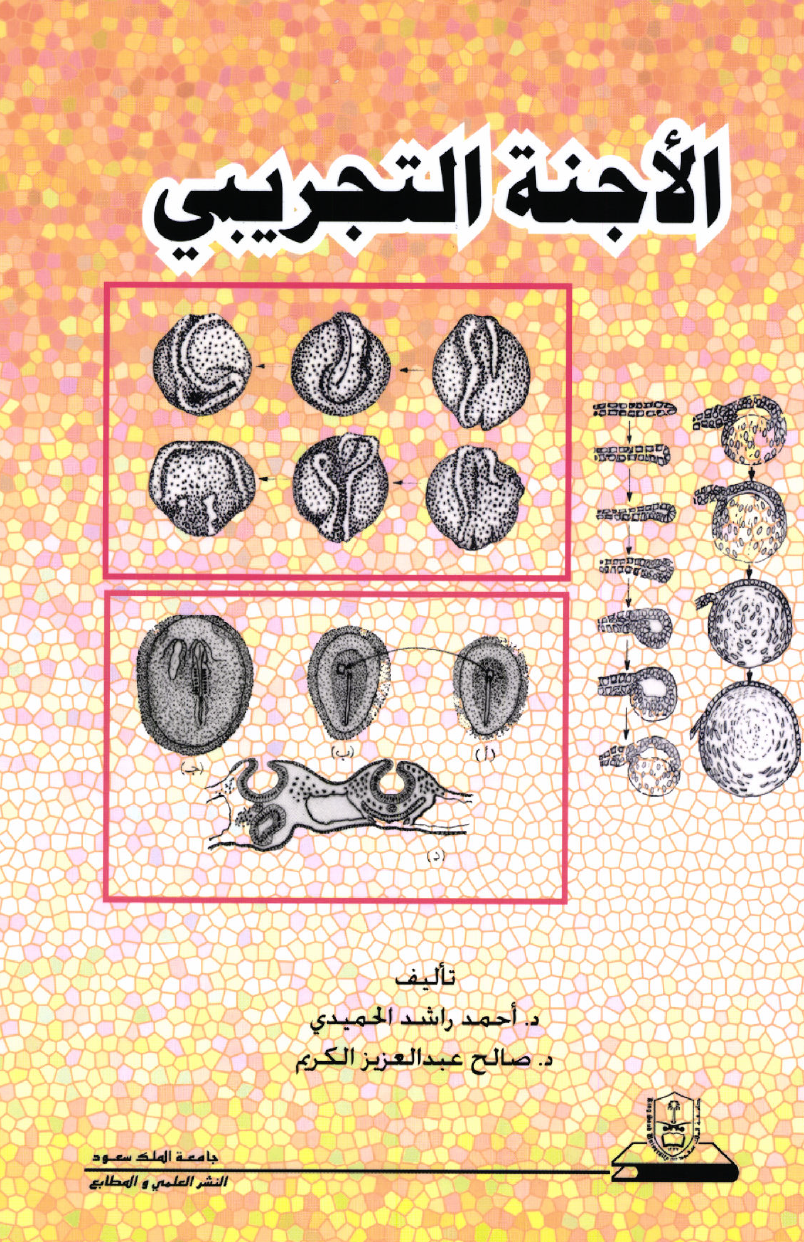 الأجنة التجريبي