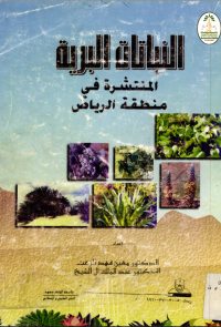 النباتات البرية المنتشرة في منطقة الرياض