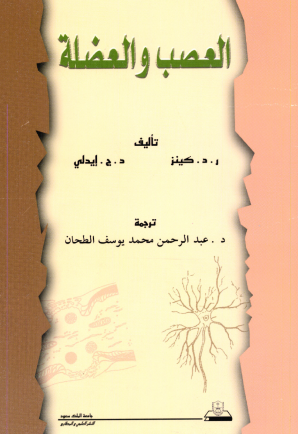 العصب والعضلة